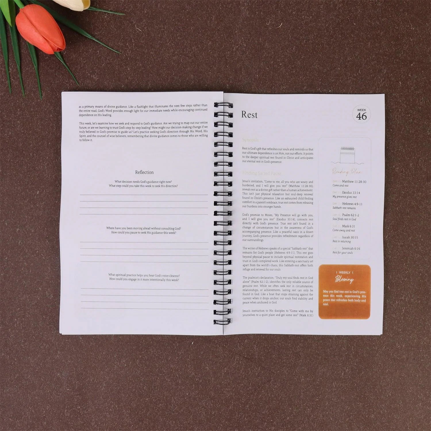Women's One Year Bible Reading | 52 Week Christian Spiritual Guide | Daily Scripture Reading and Writing Practice Logbook
